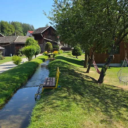 Ferienhaus Przy Mlynie 